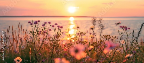 The sun is setting in the sky, casting a warm glow over the body of water below. The scene includes the Baltic Sea, wildflowers, seashells, and the ocean in the harbor, creating a picturesque view of