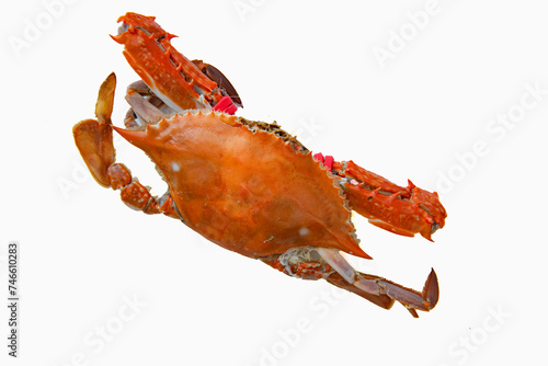 Seafood crabs and crustaceans prepared for consumption, a delicious dish