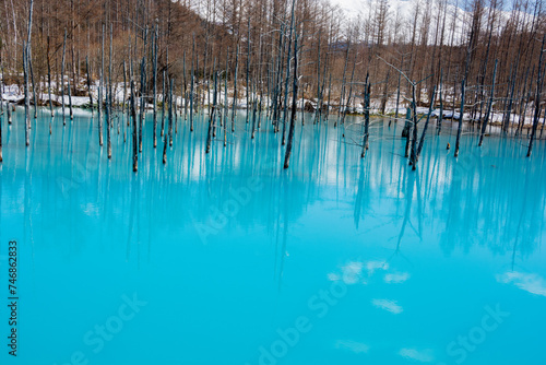 残雪が残る早春の青い池 美瑛町 