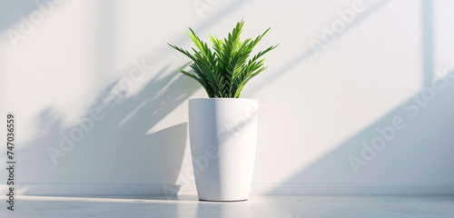 Tall, elegant plant pot mockup with a glossy finish, allowing for vertical corporate logos and inspirational quotes