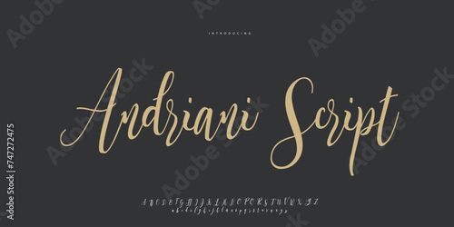 signature Font Calligraphy Logotype Script Brush Font Type Font lettering handwritten 