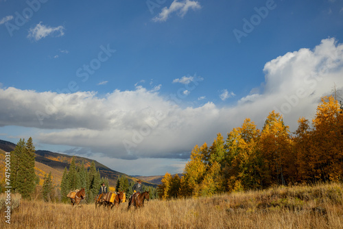 Colorado Outfitter riding horses pack mules fall autumn colorful golden aspens