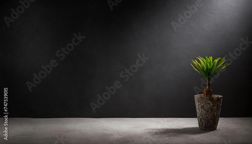 A visually striking image featuring a plant in a pot on a concrete floor in an empty room, with a black wall background and a bright spotlight creating captivating shadows.