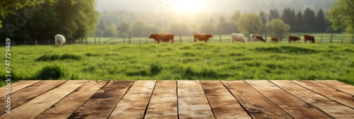 Empty wooden boardwalk over blurred pasture with cows and green grass background. banner, panorama, mock up for product display.
