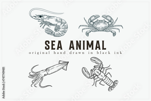 hand drawn vector illustration of crab, shrimp, squid, lobster