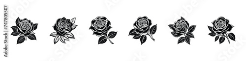 Hand-drawn rose flower collection, beautiful monochrome black and white bouquet rose isolated on background. Rose vector set by hand drawing. botanical rose set. Engraved collection.
