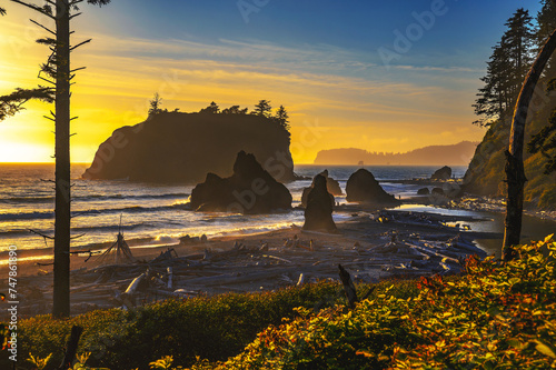 Colorful sunset at Ruby Beach with piles of deadwood and sea stacks in Olympic National Park, Washington state, USA