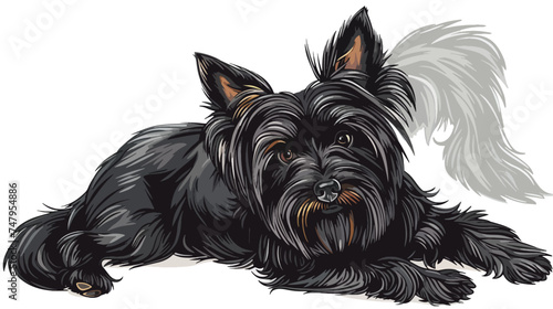 Black dog Yorkshire terrier.Vector illustration draw