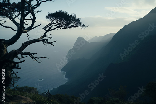 View of the sea coast from the mountain. Landscape with mountains and ocean. Tree over a cliff. A tranquil landscape of wild nature.
