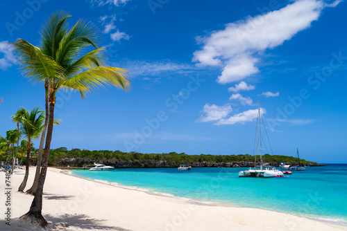 View of Harbor at Catalina Island in Dominican Republic - No People