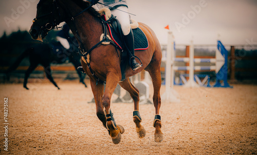 A beautiful sorrel horse is galloping at a showjumping competition. Equestrian sports and horse racing.