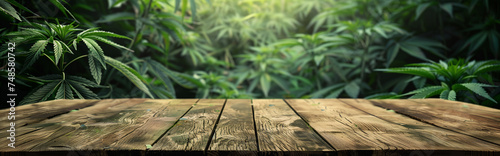 Empty wood table with free space over cannabis trees, cannabis field background. For product display montage