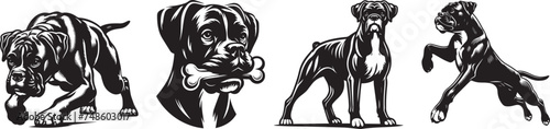 boxer breed dog, vector black white set shape