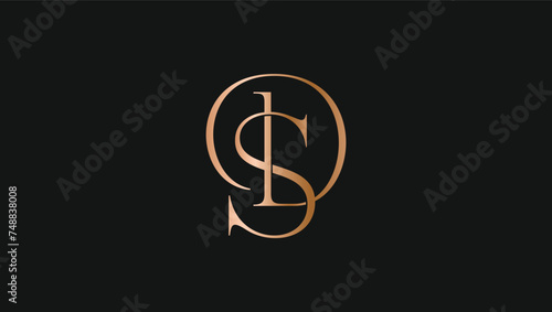 DS SD logo design. Vector illustration.