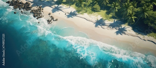 This aerial view showcases a stunning tropical beach lined with lush palm trees and crystal clear waters of the ocean. The vibrant greenery of the palm trees contrasts beautifully with the blue of the