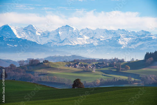 The "Dreigestirn" in the Swiss Alps and Berner Oberland | View from Bern Gurten with a solitair tree in the center | Eiger Jungfrau Jungfraujoch Mönch