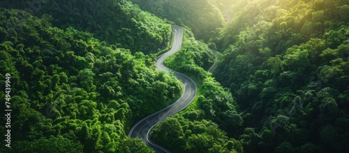 A winding road cuts through a dense, green forest filled with vibrant foliage and towering trees.