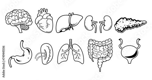 Human organ element outline sketch vector illustration set