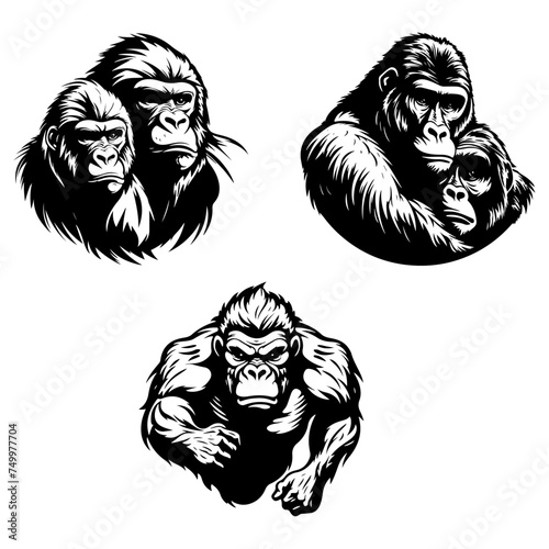 Set of four gorillas with different expressions, black vector design against white background 