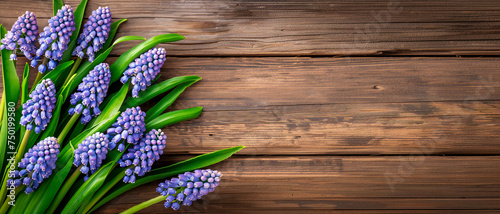 Blue Muscari spring flowers bouquet on wooden table. Top view, copy space.