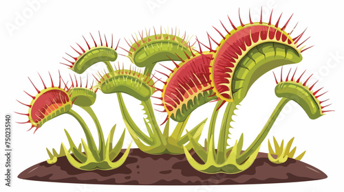Venus flytrap carnivorous plant cartoon isolated ill