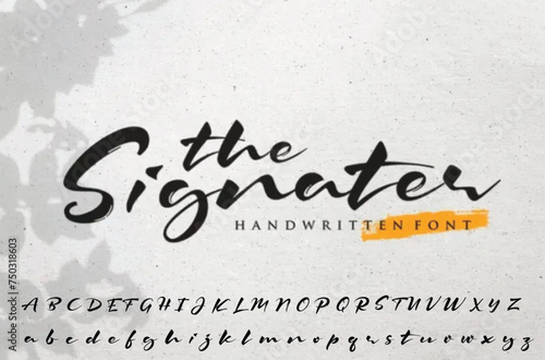 Signature Font Handwritten Script Brush Font Type Font lettering handwritten