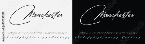 Best Alphabet Signatures Handdraw Brush Script Logotype Font lettering handwritten