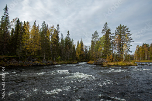 Beautiful river landscape of Kitkajoki (Kitka river) during autumn foliage near Kuusamo in Northern Finland, Europe