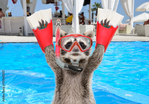 Portrait of a funny raccoon in a diving mask and flippers against the background of a swimming pool