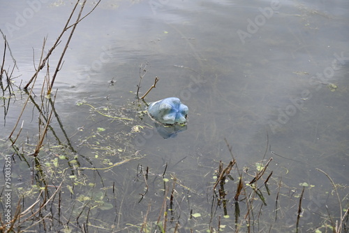 Déchet plastique dans un lac