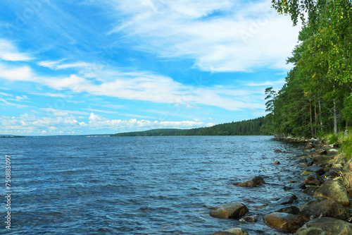 Summer landscape of the large Onega Lake against a background of blue sky with white clouds along the shore of the forest.