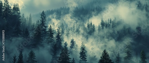 Misty pine forest, foggy, serene, wallpaper style, nature, tranquility, mystery, environment.