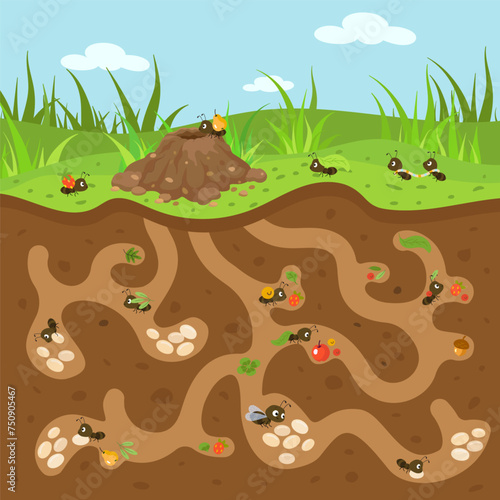 Cartoon anthill illustration. Cute tiny ants working and moving. Forest or garden wildlife, underground passages and hill. Nowaday vector nature scene