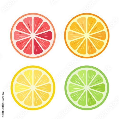 Set of citrus fruits slices. Fresh slice of orange, lemon, lime and grapefruit. Organic fruits for juice, smoothie or vitamin C healthy food. Vector illustration isolated on white background.