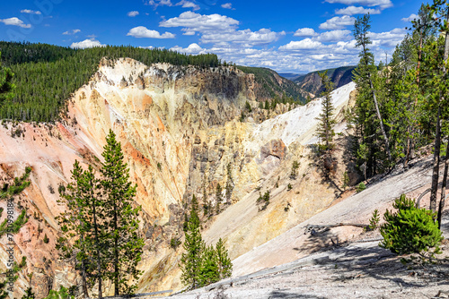 Colorful summer landscape of the Grand Canyon of the Yellowstone River in Yellowstone National Park, Wyoming, USA with pine forest and blue sky.