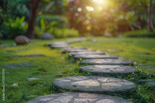 Stone Path Through Grass