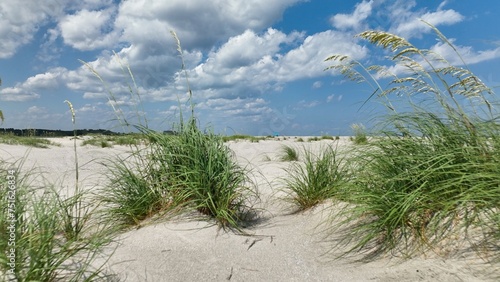 White sandy beach with Sand Dunes and sea oats by the ocean at summer vacation destination for families at Pawleys Island, South Carolina low country lifestyle with blue sky and white puffy clouds 