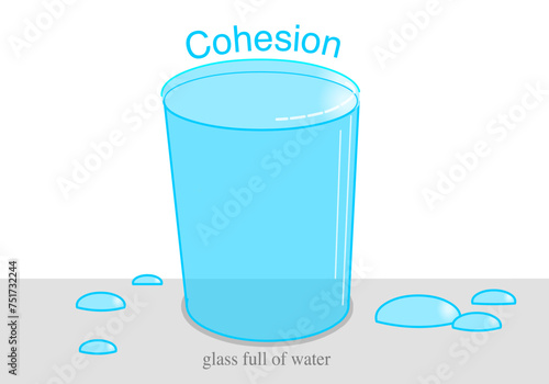 Cohesion, water molecules properties, hydrogen bonds polarity. Adhesion, surface tension. Molecular layout of liquid. Illustration vector