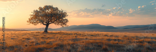 A lone tree stands tall in a vast field with towering mountains in the background. The tree stands out against the open landscape, creating a striking contrast