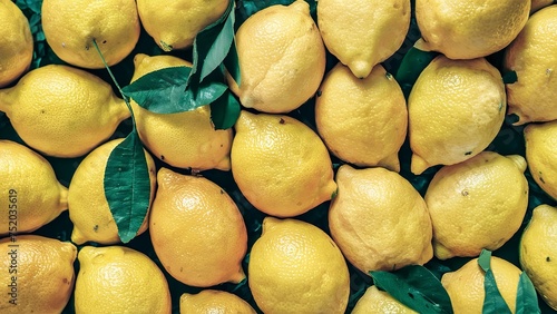 fresh ripe whole lemons eco