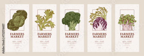 Farmers market flyers templates. Cabbage, lettuce and microgreens engraved illustrations