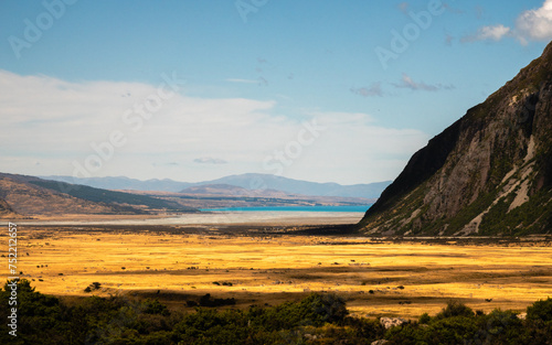 landscape in New Zealand, south island, yellow grass with a far view to a lake and mountains