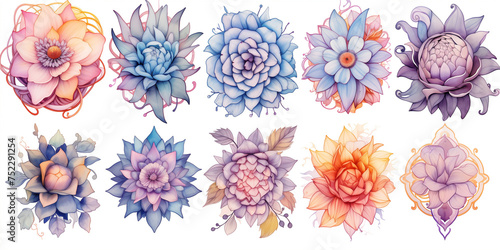  a painting of different types of flowers that could be used for meditation, in the style of realistic watercolor paintings