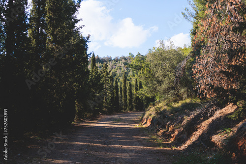 Hymettus mountain landscape, hiking in Athens, Hymettos mountain range panoramic beautiful view, Attica, Greece, in a summer sunny day, with Kaisariani aesthetic forest