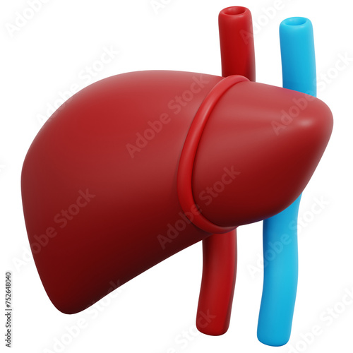 liver 3d render icon illustration