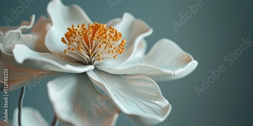 Close-up flor blanca con grandes pistilos 