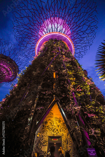 Lights in Gardens by the Bay in Singapore.