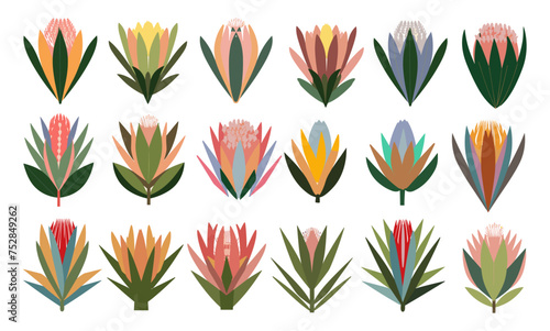 Set of different hand drawn protea flower design elements with leaves. Contemporary modern vector botanical art illustrations in trendy Peach Fuzz color palette on transparent background.