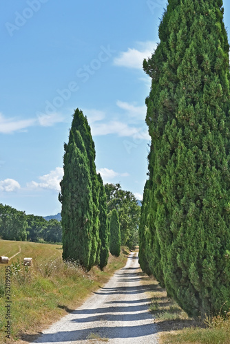 Strada fra i cipressi e balle di fieno nella campagna di Soriano nel Cimino, Viterbo, Tuscia - Lazio