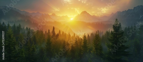 Golden sunrise breaking through mist over a lush, green mountainous forest. Backlit mountain transforming into a splendid golden spectacle, foreground featuring a dark pine forest